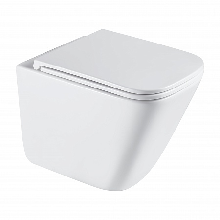 Подвесной унитаз безободковый Terminus Ватикан Monolit 490х340 белый Великий Новгород - фото 2